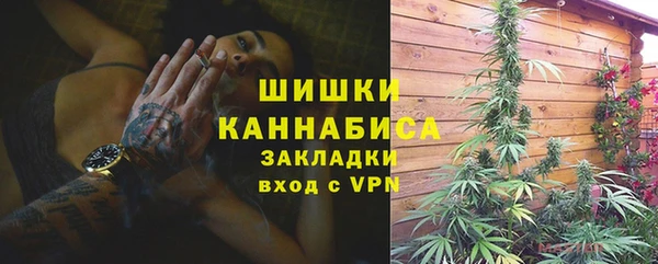 ГАЛЛЮЦИНОГЕННЫЕ ГРИБЫ Саяногорск