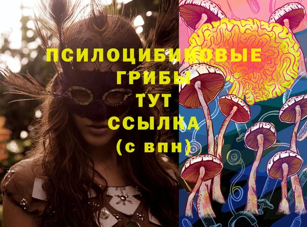 таблы Алексеевка