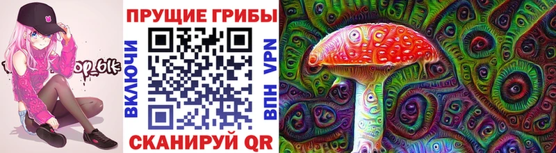 ссылка на мегу ССЫЛКА  закладки  Камень-на-Оби  Псилоцибиновые грибы Magic Shrooms 