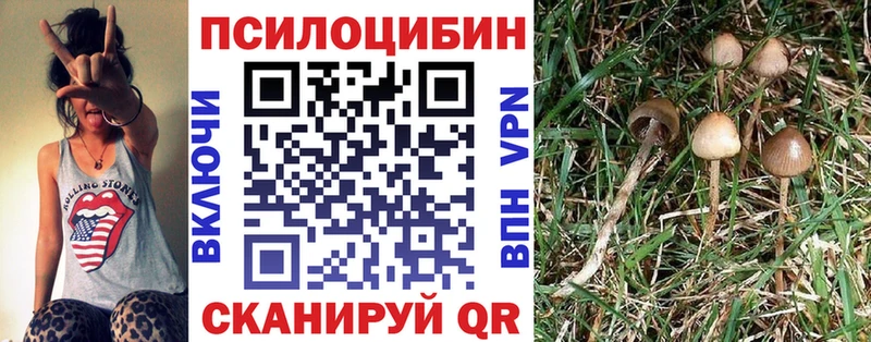 Псилоцибиновые грибы GOLDEN TEACHER Камень-на-Оби