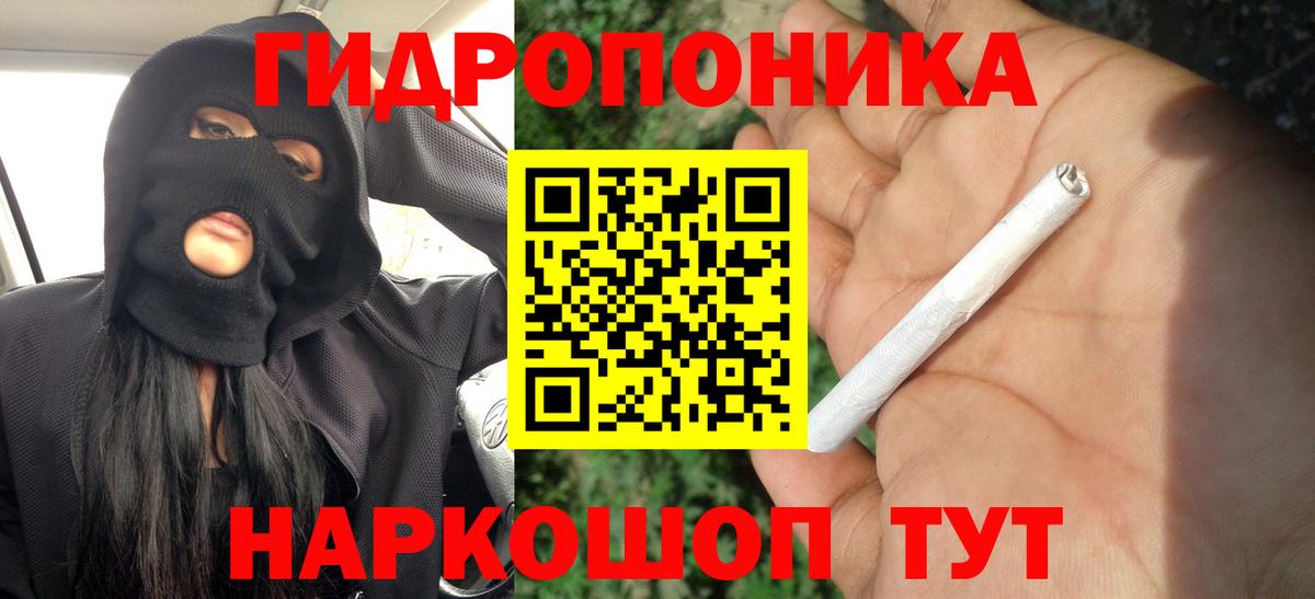 Камень-на-Оби  Бошки марихуана семена  Шишки марихуана Bruce Banner  Вход с VPN  Канабис сатива  Шишки марихуана Amnesia 